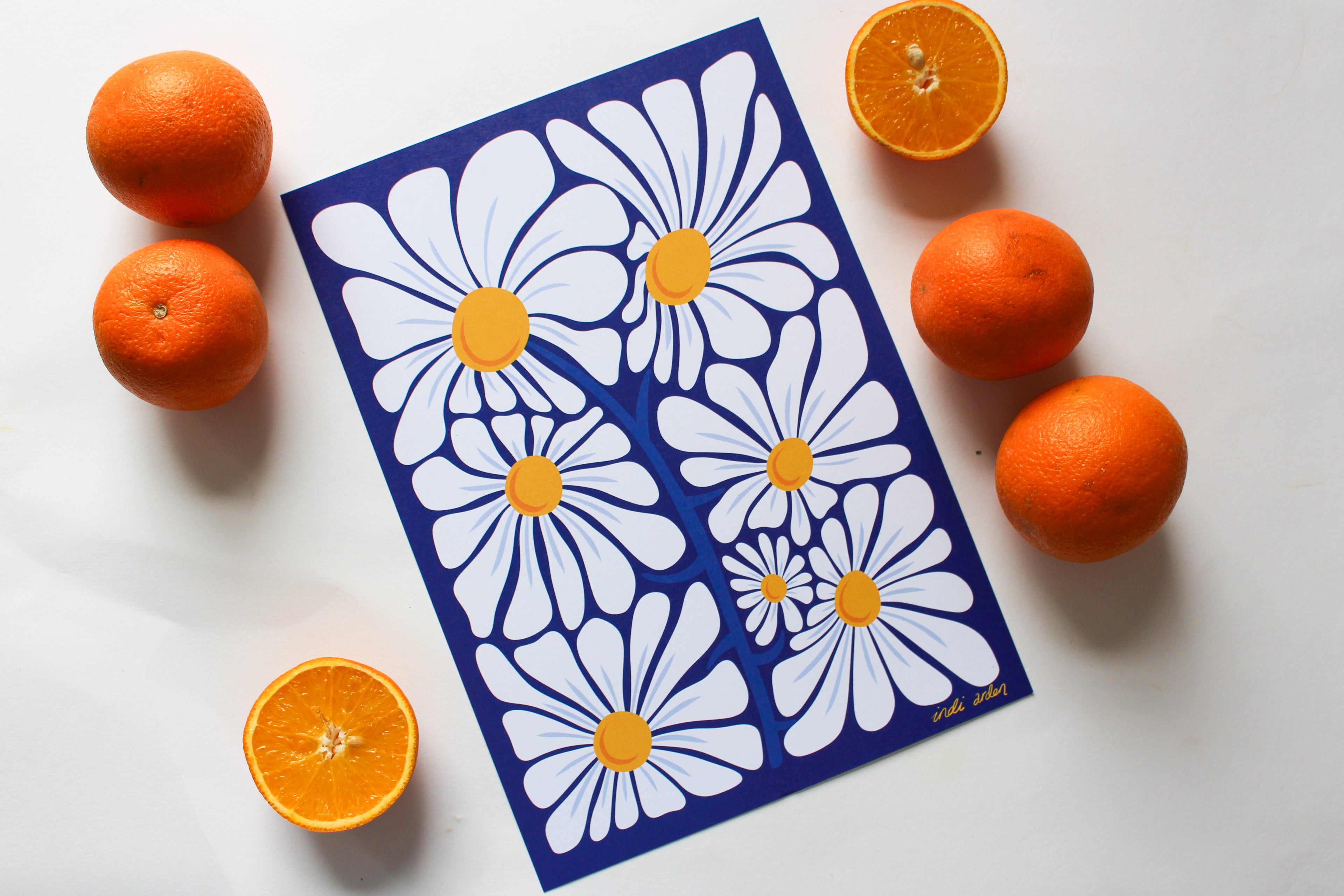 Crazy Daisy A4 Print