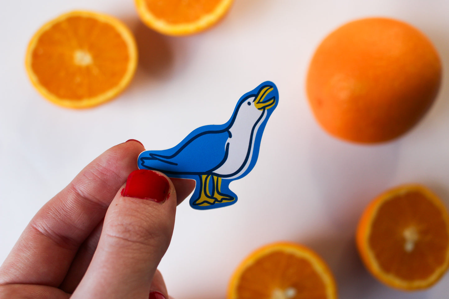 Brighton Stickers set of 5