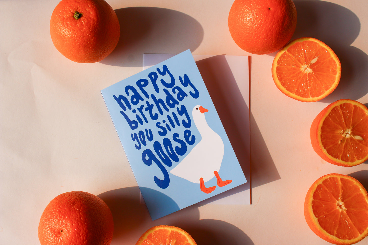 Silly Goose Birthday Card