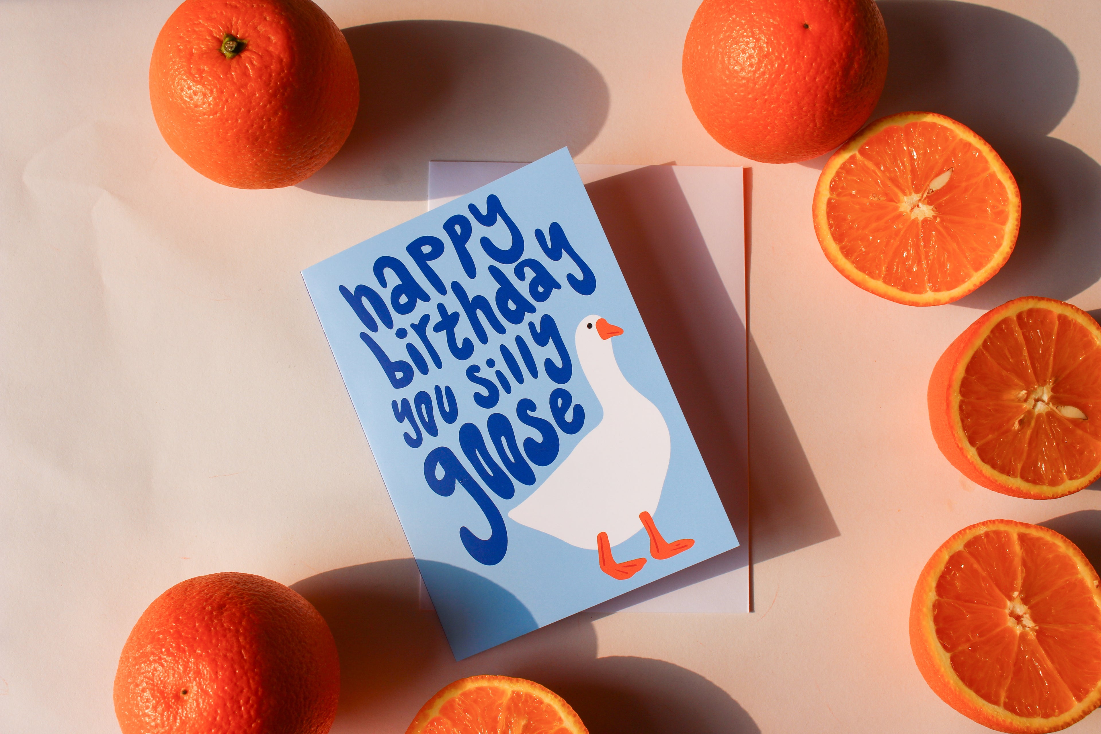 Silly Goose Birthday Card