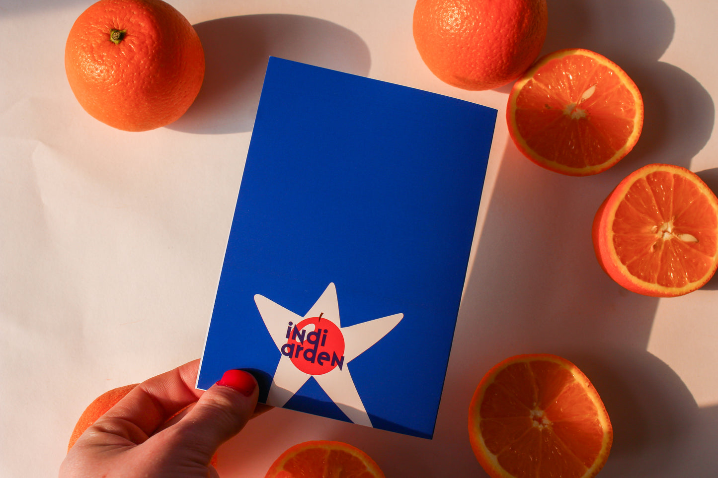 Silly Goose Birthday Card