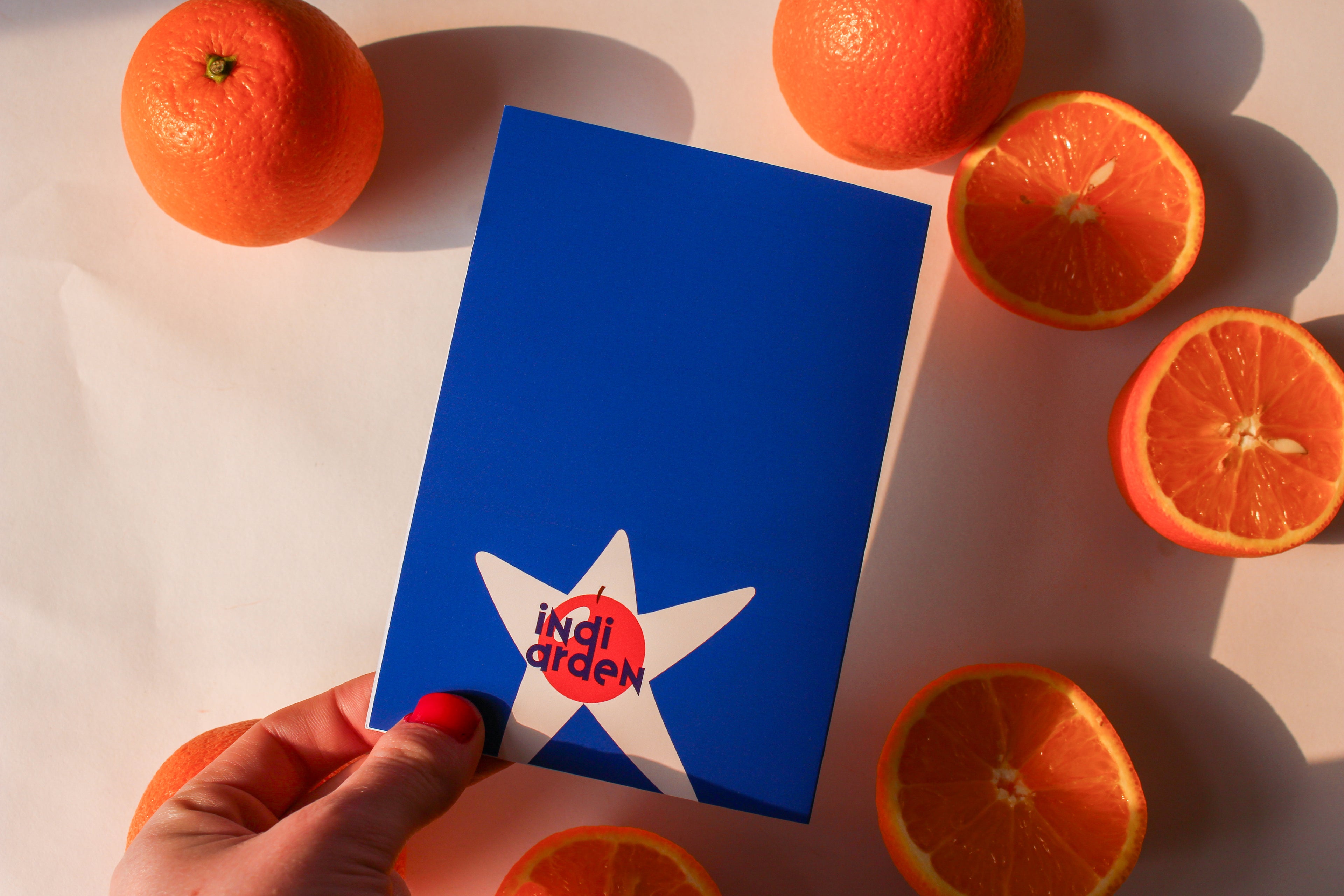 Silly Goose Birthday Card