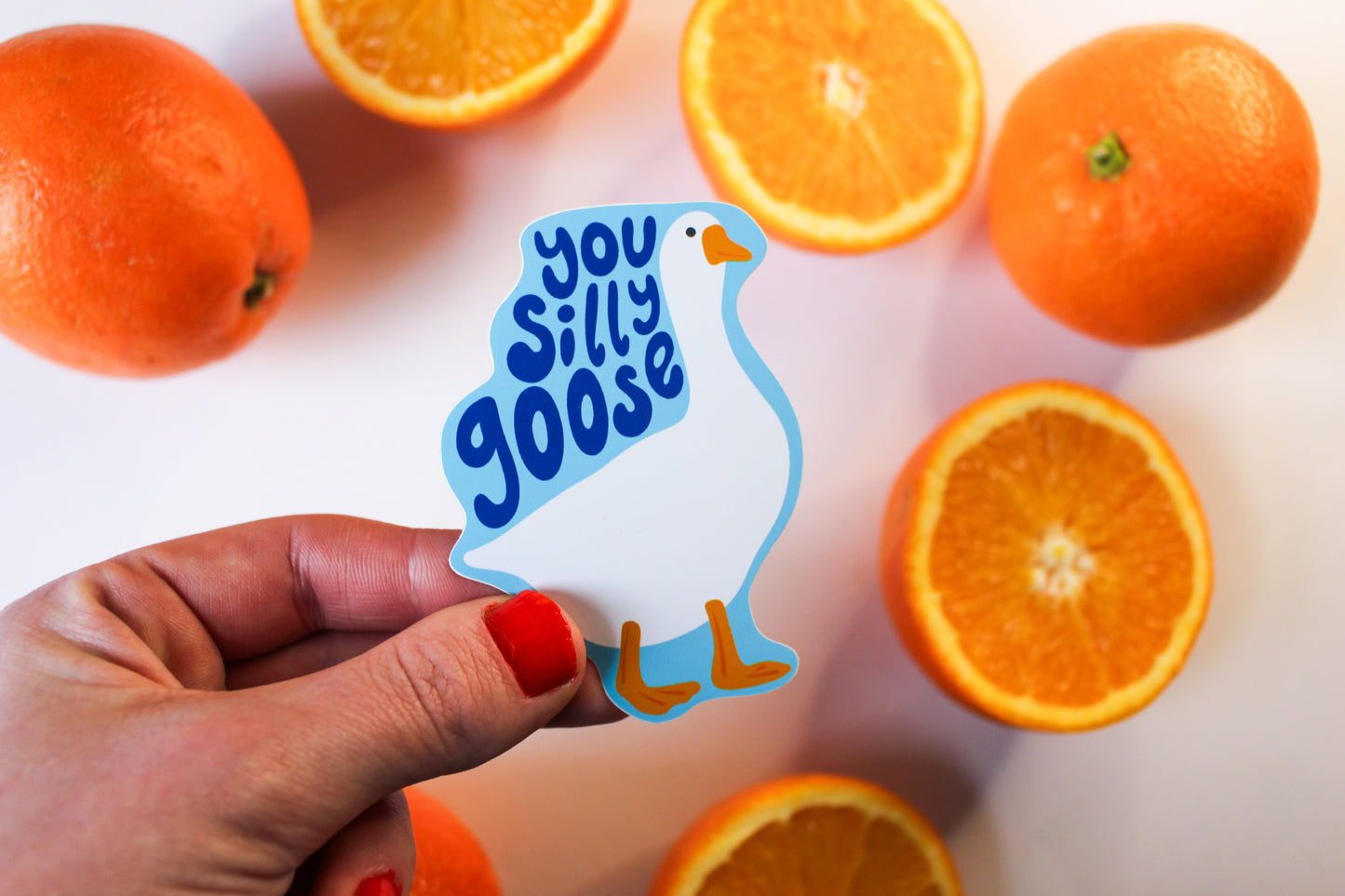 Silly Goose Birthday Card